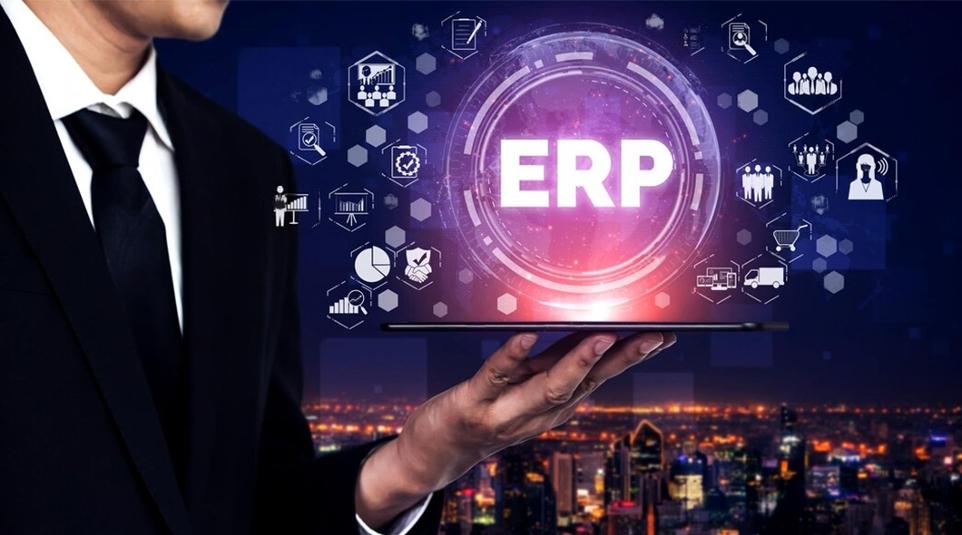 manufacturing erp consultant